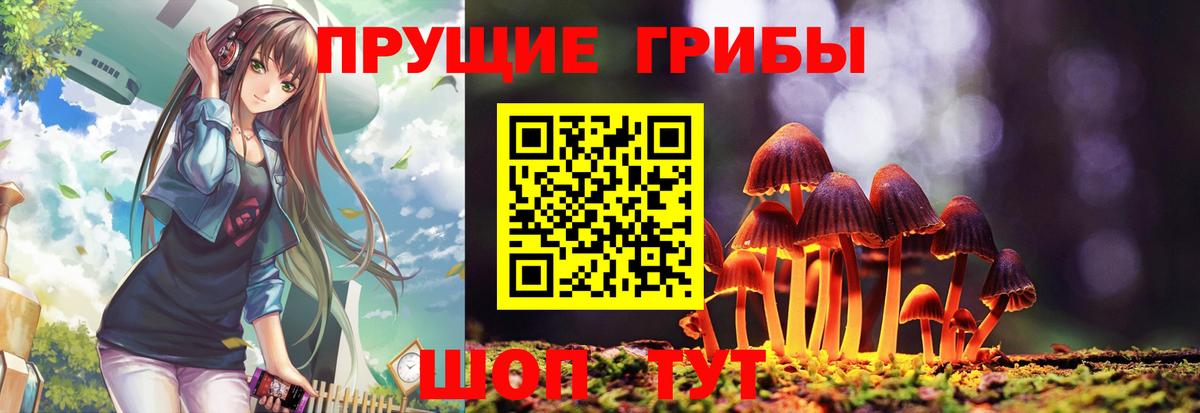 Михайловск  Галлюциногенные грибы Magic Shrooms  Вход с VPN 