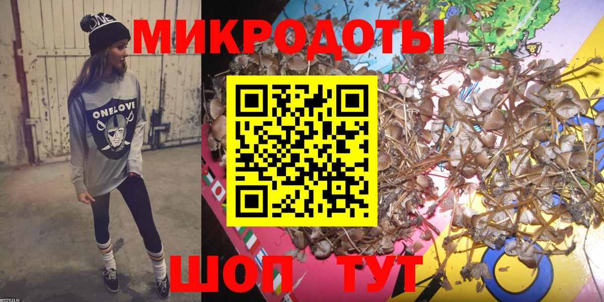 Псилоцибиновые грибы прущие грибы Михайловск